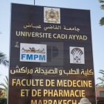 المياه والغابات تنفي وجود أي أثر للأسد بخنيفرة وولماس