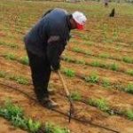 التنسيق النقابي للمكتب الوطني للكهرباء والماء لجهة مراكش يعلن عن خوض اضرابات وتنظيم وقفة احتجاجية