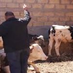 في بلاغ لوزارة الأوقاف:فاتح شهر رجب لعام 1445 هـ اليوم السبت