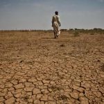 خالد بلادي مدير حزب البام بجهة مراكش اسفي ل “أخبار تساوت”:600 منتدب يمثلون اقاليم الجهة في المؤتمر الوطني الخامس