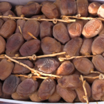 الرياضة في خدمة الحملة الوطنية التحسيسية للحفاظ على الماء