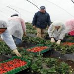 عناصر المركز الترابي والمركز القضائي للدرك الملكي بقلعة السراغنة يحجزون كمية من مخدر الشير