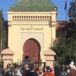 مع قهوة الصباح يكتبها ل “أخبار تساوت”المدون ادريس زياد في عدد اليوم الثلاثاء:الإنتصار الإفتراضي لدون كيشوت