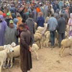 خطوة إنسانية من لاعبي الرجاء في حال التتويج بلقب البطولة