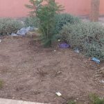 هذه توقعات مديرية الأرصاد الجوية لأحوال طقس اليوم الأربعاء