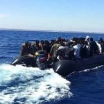 الأسود يصعدون في التصنيف الجديد للفيفا