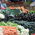حومات ودروب مدينة مراكش العريقة: الانسان والمجال”مؤلف جديدللاستاذ إبراهيم صفاء الفيلالي