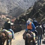 بسبب شكاية تقدم بها وهبي وزير العدل:اليوم الاثنين تعقد ابتدائية الرباط الجلسة الأولى في ملف الصحفي حميد المهداوي