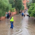مفكر سنغالي: الدعم الدولي المتنامي لمغربية الصحراء يعكس نجاح الدبلوماسية المغربية بقيادة الملك