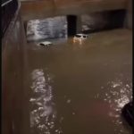 منتجون ومهنيون باقليم قلعة السراغنة يكشفون أسباب تراجع انتاج الزيتون وارتفاع اثمان الزيت