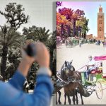 بوساطة من جلالة الملك محمد السادس : إطلاق أربعة مواطنين فرنسيين كانوا محتجزين بواغادوغو منذ 2023