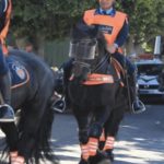 الجمعية المغربية لحقوق الإنسان بأسفي تستنكر الحملة التي تتعرض لها صحيفة “الجهة 24”