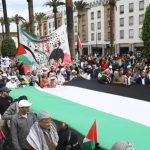 من مصدر موثوق: حملة إعدام الكلاب الضالة بالدخيرة الحية بأحياء قلعة السراغنة شملت أزيد من 300 كلب