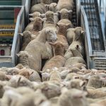 أزيد من 140 مليون درهم لتعزيز نظام المراقبة بالفيديو