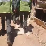 بالصور والفيديو…. ندوة علمية بقلعة السراغنة تسلط الضوء على ضمانات حقوق الإنسان بالمغرب