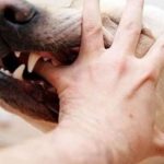 شوراق والي الجهة يترأس اجتماعا موسعا لتتبع اعادة الاعمار بأقاليم الحوز وشيشاوة وتارودانت