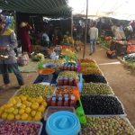 بالصور..اليزيدي عامل قلعة السراغنة يتفقد مشروع حاضنة المقاولون الشباب ويعطي انطلاقة أشغال مشروع بناء مسلك طرقي بجماعة لهيادنة