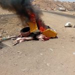 نداء إلى السلطات: من يحمي صحة المواطن من مواشي تأكل النفايات؟