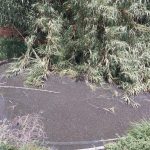 صادم..مصرع طفل غرقا في صهريج مائي بدوار سيدي موسى باقليم قلعة السراغنة