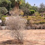 لفتيت وزير الداخلية يقضي أياما وسط فضاءات وأسواق مراكش