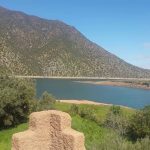 الشاب مروان التاقي نجل صهر الزميل محمد موقس يدخل القفص الذهبي