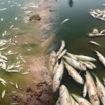 وفاة محمد فتح الخير ممرض بقسم التخدير أثناء مزاولته لعمله بالمستشفى الاقليمي لقلعة السراغنة وطاقم “أخبار تساوت” يعزي زملاء وعائلة الراحل