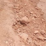 المنشد السرغيني جواد الشاري يلهب حفل ملتقى دار الضمانة الدولي بوزان