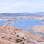 مشاركة متميّزة لتلميذات وتلاميذ مديرية الرحامنة في جائزة مولاي علي الشريف دفين مراكش للإبداع