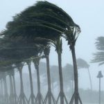 بعد تحقيقه لألقاب دولية :طارق السكتيوي يدرس عروضا أجنبية