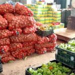 الفنانة منال بنشليخة تطلق “Carta Rouge”.. عمل موسيقي جديد يمزج بين الراي والفلامنكو