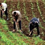 اليزيدي عامل قلعة السراغنة يتفقد المركز الثقافي ويؤكد إخراجه إلى حيز الاستغلال في أقرب الآجال