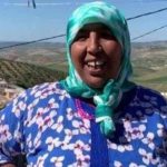 في توقعات الأرصاد الجوية: طقس حار وترقب هبات رياح معتدلة