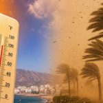 المحكمة تدين اليوتوبر “مي نعيمة”بسنة موقوفة التنفيذ والمنع من نشر أي محتوى على مواقع التواصل الاجتماعي