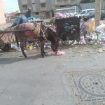 مواصلة تنزيل منظومة نقل المياه.. المغرب يراهن على “الطرق السيارة للماء” لمواجهة الإجهاد المائي المتصاعد