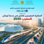 بن خالد رئيس الفدرالية البيمهنية للزيتون:انتاج الزيتون للموسم المقبل سيسجل تراجعا