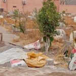 ألعاب القوى.. العداء المغربي ياسين حسين يحرز الميدالية الذهبية في سباق 200 متر