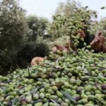 مراكش تحتضن ندوة وطنية حول الدبلوماسية الملكية وقضية الصحراء المغربية وتختتم أشغالها بتكريم المشاركين